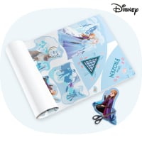Set di teloni Flyer di Frozen Disney di Wickey  627000